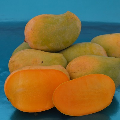 Kesar