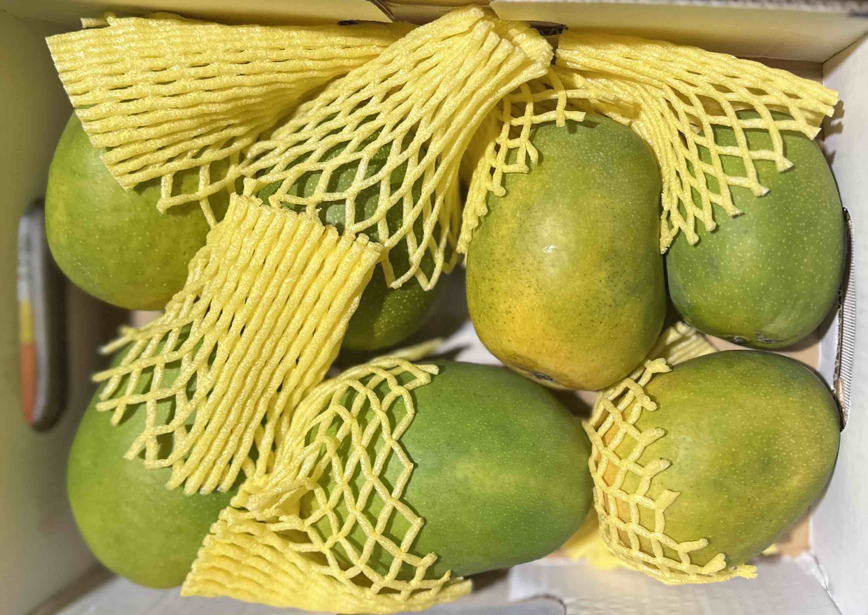 Rajapuri