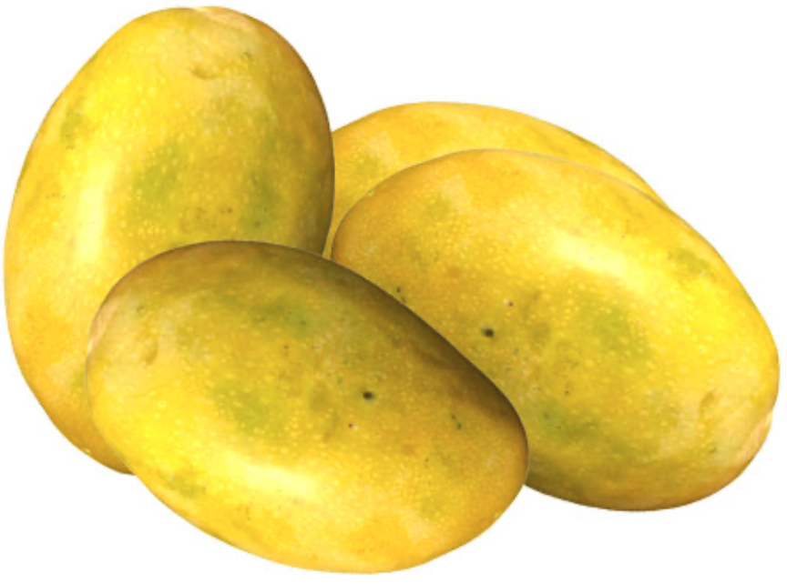 Himam Pasand